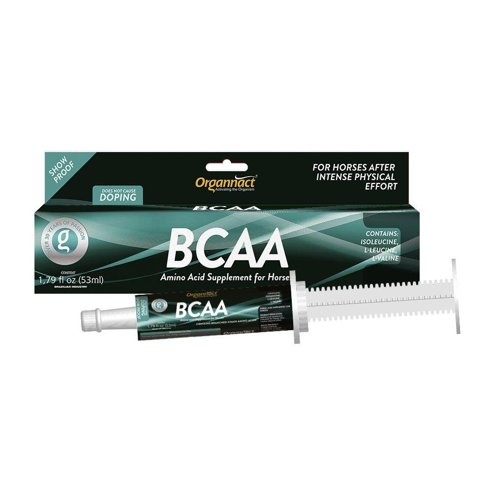 Can BCAA Cause Weight Gain? Uncovering the Truth