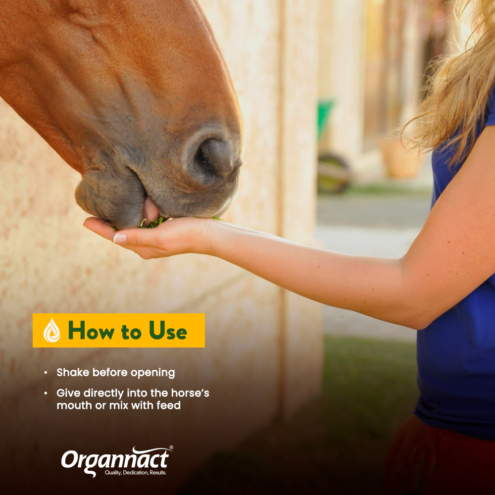 Organnact CBD Oil for Horses – 18,000 mg (120 mg/mL)