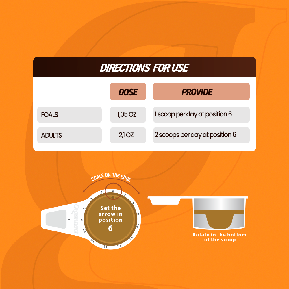 Horse supplements, Equine supplements, Horse supplement, Equine supplement, Performance horse, Performance equine, Performance horse training, Performance equine training, Calm supplement for horses, Calm supplement for equines, Best supplement for horses, Best supplement for equines, Energy supplement for horses, Energy supplement for equines, Supplement for horses muscles, Supplement for equines muscles, Horses muscle mass, Equine muscle mass, Horse muscle gain