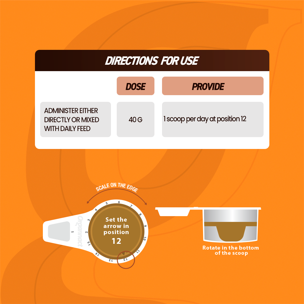 Horse supplements, Equine supplements, Horse supplement, Equine supplement, Performance horse, Performance equine, Performance horse training, Performance equine training, Calm supplement for horses, Calm supplement for equines, Best supplement for horses, Best supplement for equines, Energy supplement for horses, Energy supplement for equines, Supplement for horses muscles, Supplement for equines muscles, Horses muscle mass, Equine muscle mass, Horse muscle gain