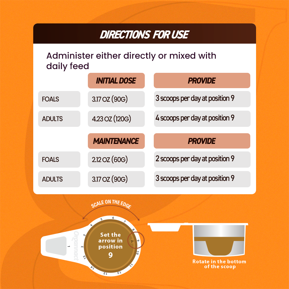 Organnact Enteroequi Horse Supplement