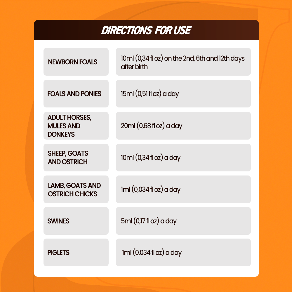 Horse supplements, Equine supplements, Horse supplement, Equine supplement, Performance horse, Performance equine, Performance horse training, Performance equine training, Calm supplement for horses, Calm supplement for equines, Best supplement for horses, Best supplement for equines, Energy supplement for horses, Energy supplement for equines, Supplement for horses muscles, Supplement for equines muscles, Horses muscle mass, Equine muscle mass, Horse muscle gain