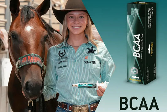 BCAA Horse Supplement