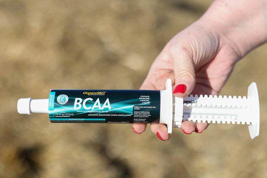 A hand holding a BCAA syringe