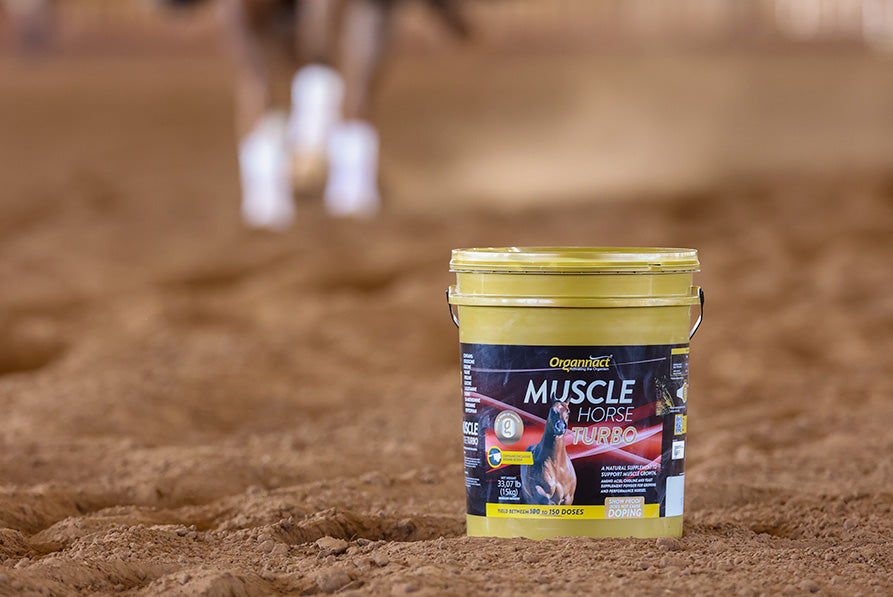 "Muscle Horse Turbo bucket on the ground with a horse in the background practicing