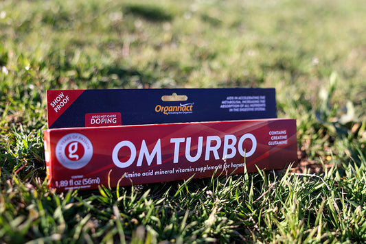 OM Turbo horse supplement syringe lying on the grass