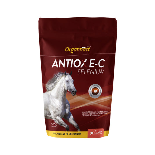 Pre race equines, BCAA equine, BCAA horses, Horse nutrition, Equine nutrition, Weight gain supplements for horses, Weight gain supplements for equines, Foals supplementation, Foal supplement, Supplements for foals, Healthy foal, Newborn foal supplement, Products for newborn foal, Newborn foal care, Foals essential care, Newborn foal, Foal products, Mares nutrition, Nutrition for mares