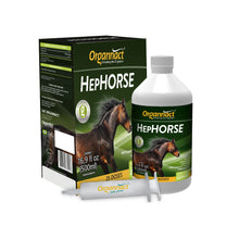 Pre race equines, BCAA equine, BCAA horses, Horse nutrition, Equine nutrition, Weight gain supplements for horses, Weight gain supplements for equines, Foals supplementation, Foal supplement, Supplements for foals, Healthy foal, Newborn foal supplement, Products for newborn foal, Newborn foal care, Foals essential care, Newborn foal, Foal products, Mares nutrition, Nutrition for mares