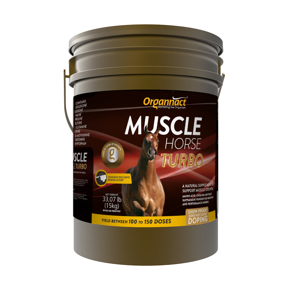 Pre race equines, BCAA equine, BCAA horses, Horse nutrition, Equine nutrition, Weight gain supplements for horses, Weight gain supplements for equines, Foals supplementation, Foal supplement, Supplements for foals, Healthy foal, Newborn foal supplement, Products for newborn foal, Newborn foal care, Foals essential care, Newborn foal, Foal products, Mares nutrition, Nutrition for mares