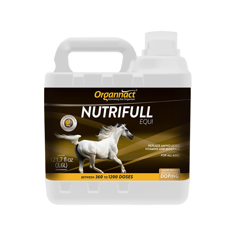 Pre race equines, BCAA equine, BCAA horses, Horse nutrition, Equine nutrition, Weight gain supplements for horses, Weight gain supplements for equines, Foals supplementation, Foal supplement, Supplements for foals, Healthy foal, Newborn foal supplement, Products for newborn foal, Newborn foal care, Foals essential care, Newborn foal, Foal products, Mares nutrition, Nutrition for mares