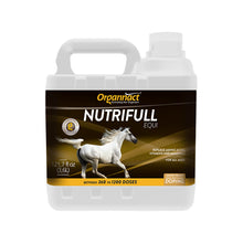 Pre race equines, BCAA equine, BCAA horses, Horse nutrition, Equine nutrition, Weight gain supplements for horses, Weight gain supplements for equines, Foals supplementation, Foal supplement, Supplements for foals, Healthy foal, Newborn foal supplement, Products for newborn foal, Newborn foal care, Foals essential care, Newborn foal, Foal products, Mares nutrition, Nutrition for mares