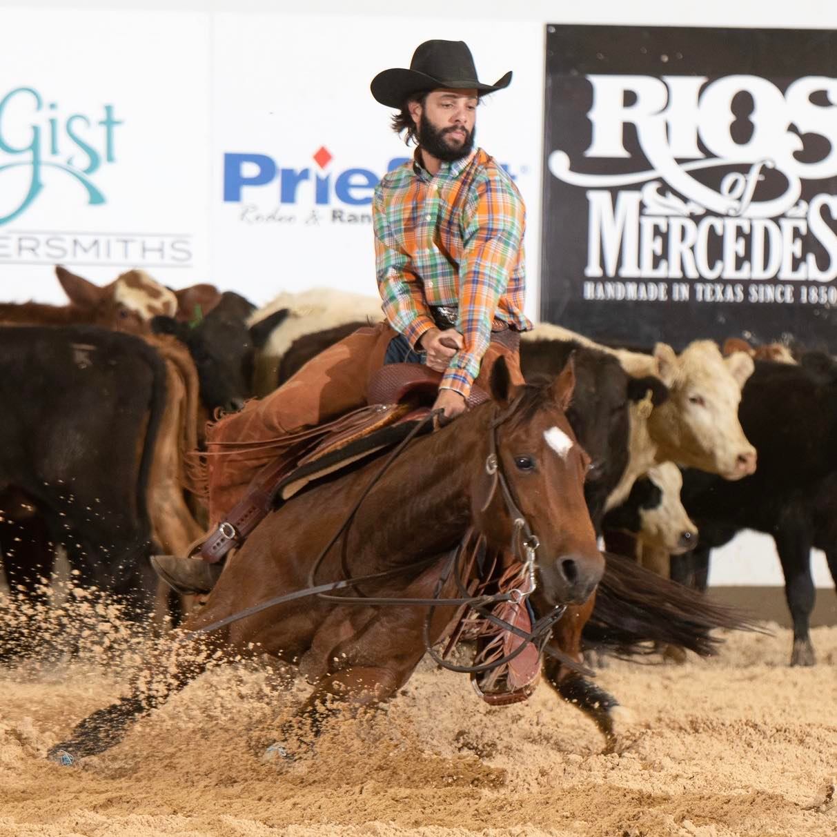 Vitamin E supplementation equine, Horse muscle, Equine muscle, Magnesium supplementation horse, Magnesium supplementation equine, Energy supplement for horse, Energy supplement for equine, Horse energy, Equine energy, Energy boost supplement for horses, Energy boost supplement for equines, Best supplement for horse, Best supplement for equine, Equine diet, Horse diet, Horse protein supplement, Equine protein supplement, Equine digestive, Horse digestive