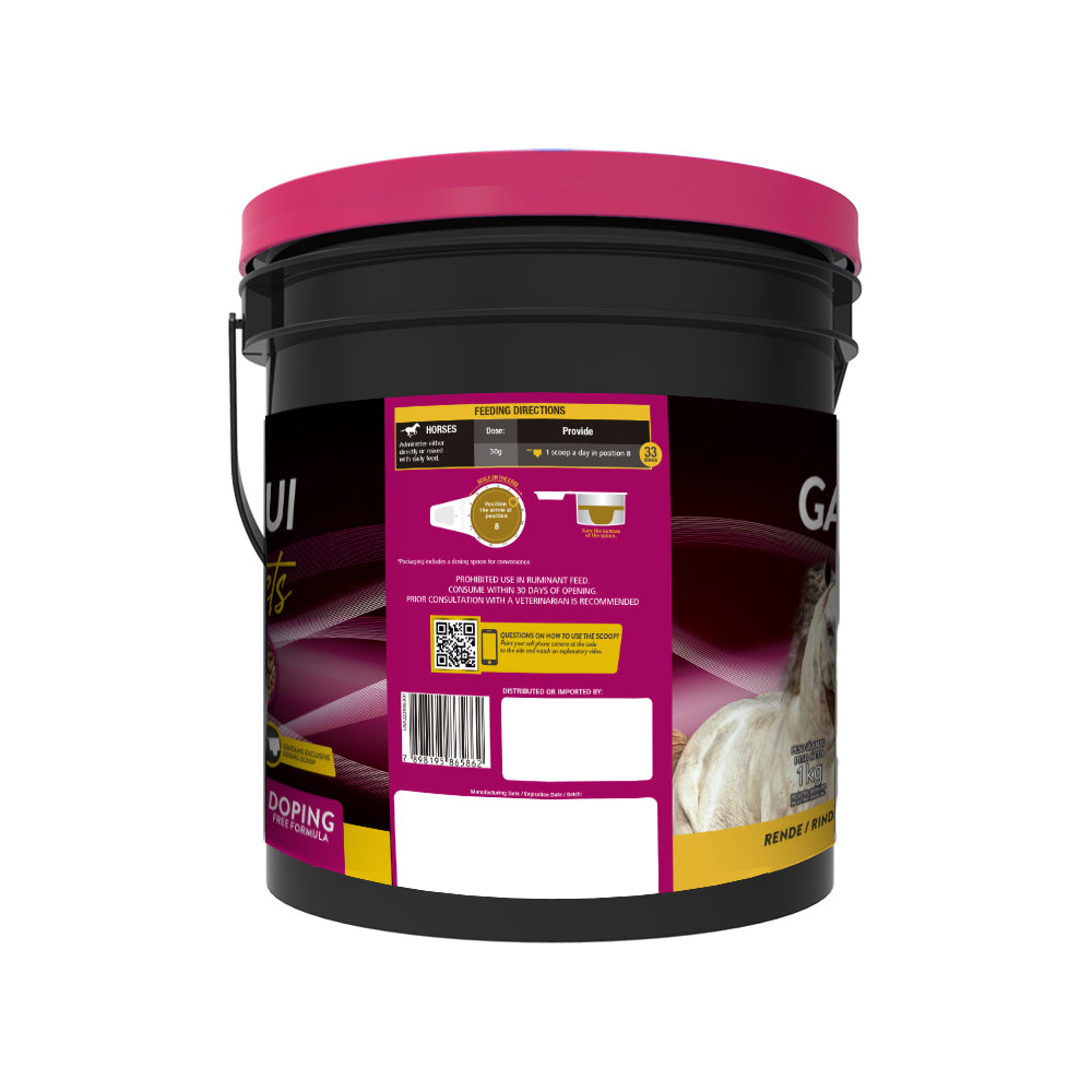 Pre race equines, BCAA equine, BCAA horses, Horse nutrition, Equine nutrition, Weight gain supplements for horses, Weight gain supplements for equines, Foals supplementation, Foal supplement, Supplements for foals, Healthy foal, Newborn foal supplement, Products for newborn foal, Newborn foal care, Foals essential care, Newborn foal, Foal products, Mares nutrition, Nutrition for mares