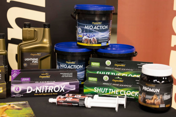 Equine metabolic, Horse metabolic, Pelleted horse, Pelleted equine, Horse digestion, Equine digestion, Horse intestine, Equine intestine, Horse gut health, Equine gut health, Horse nutrition care, Equine nutrition care, Hoof supplements horse, Hoof supplements equine, Healthy coat for horses, Healthy coat for equines, ATP horses, ATP equines, Pre race horses, Complete equine performance products