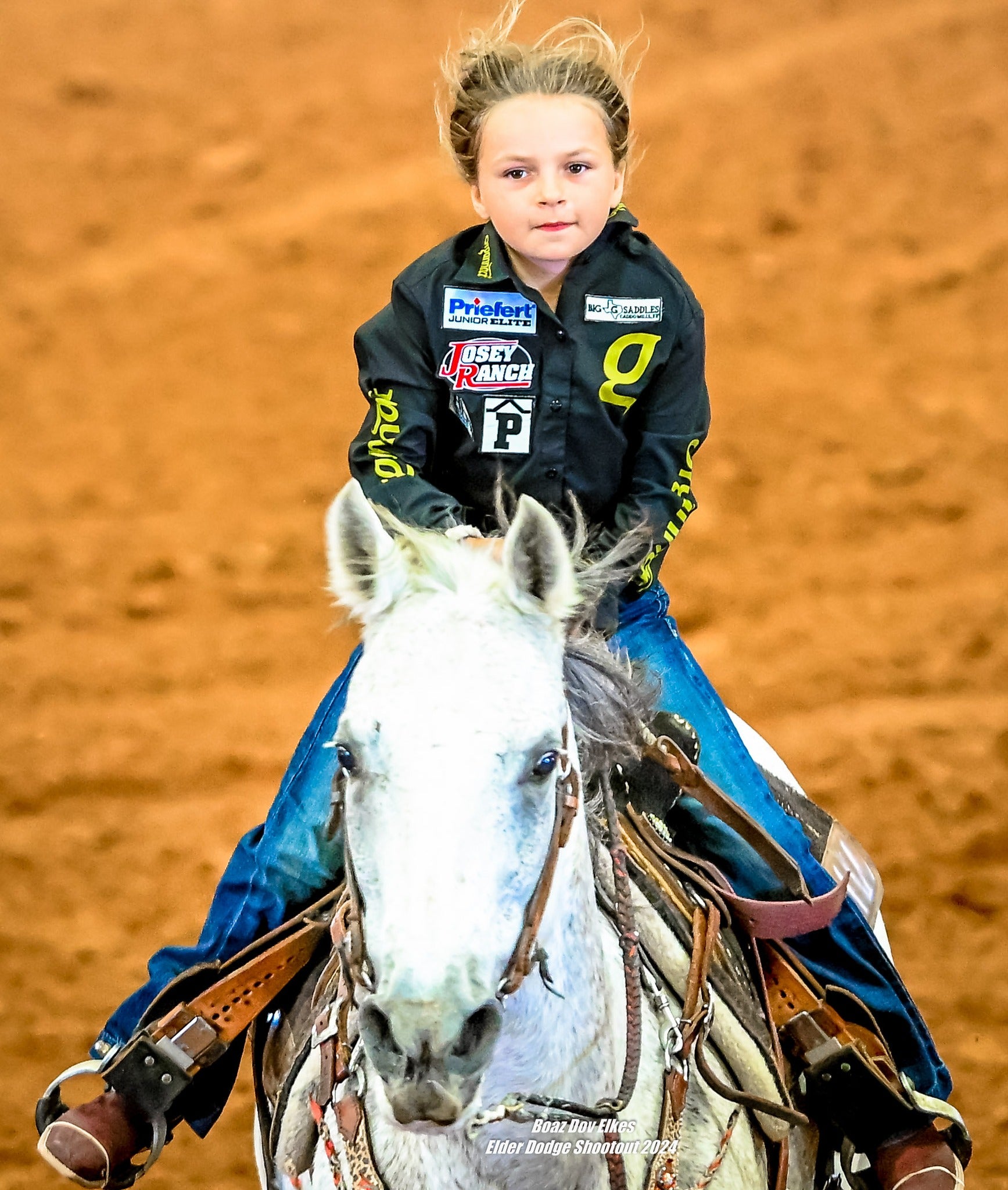 Vitamin E supplementation equine, Horse muscle, Equine muscle, Magnesium supplementation horse, Magnesium supplementation equine, Energy supplement for horse, Energy supplement for equine, Horse energy, Equine energy, Energy boost supplement for horses, Energy boost supplement for equines, Best supplement for horse, Best supplement for equine, Equine diet, Horse diet, Horse protein supplement, Equine protein supplement, Equine digestive, Horse digestive