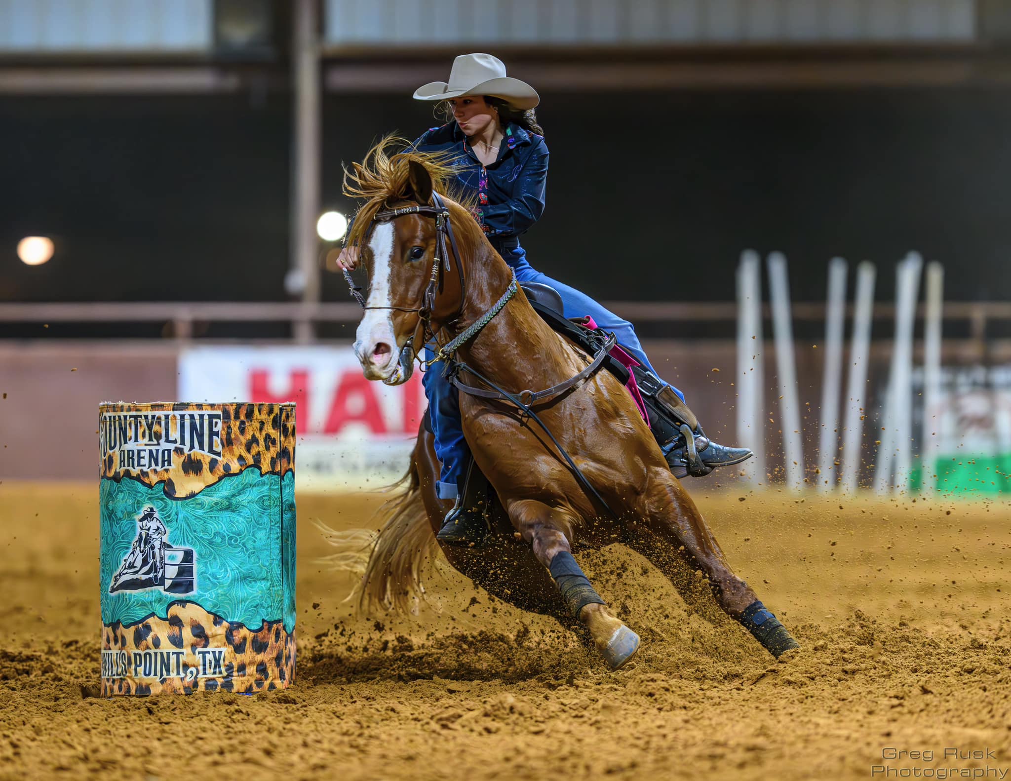 Vitamin E supplementation equine, Horse muscle, Equine muscle, Magnesium supplementation horse, Magnesium supplementation equine, Energy supplement for horse, Energy supplement for equine, Horse energy, Equine energy, Energy boost supplement for horses, Energy boost supplement for equines, Best supplement for horse, Best supplement for equine, Equine diet, Horse diet, Horse protein supplement, Equine protein supplement, Equine digestive, Horse digestive