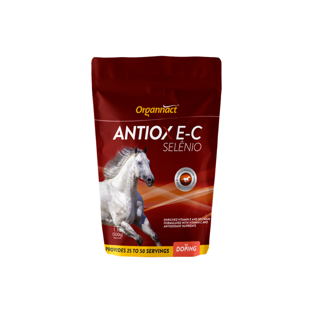 Vitamin E supplementation equine, Horse muscle, Equine muscle, Magnesium supplementation horse, Magnesium supplementation equine, Energy supplement for horse, Energy supplement for equine, Horse energy, Equine energy, Energy boost supplement for horses, Energy boost supplement for equines, Best supplement for horse, Best supplement for equine, Equine diet, Horse diet, Horse protein supplement, Equine protein supplement, Equine digestive, Horse digestive