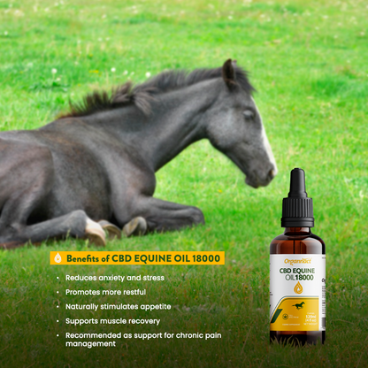 Organnact CBD Oil for Horses – 18,000 mg (120 mg/mL)
