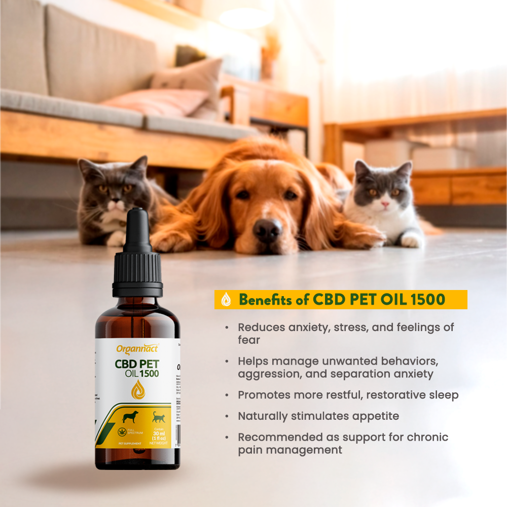 Organnact CBD Oil for Pets – 1,500 mg (30 mg/mL) Cats & Dogs