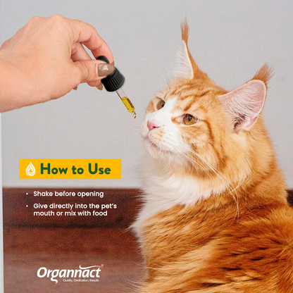 Organnact CBD Oil for Pets – 1,500 mg (30 mg/mL) Cats & Dogs