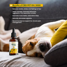 Organnact CBD Oil for Dogs – 3,000 mg (30 mg/mL)