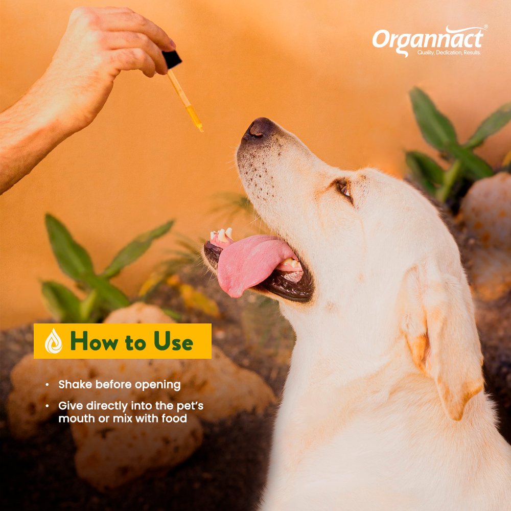 Organnact CBD Oil for Dogs – 3,000 mg (30 mg/mL)