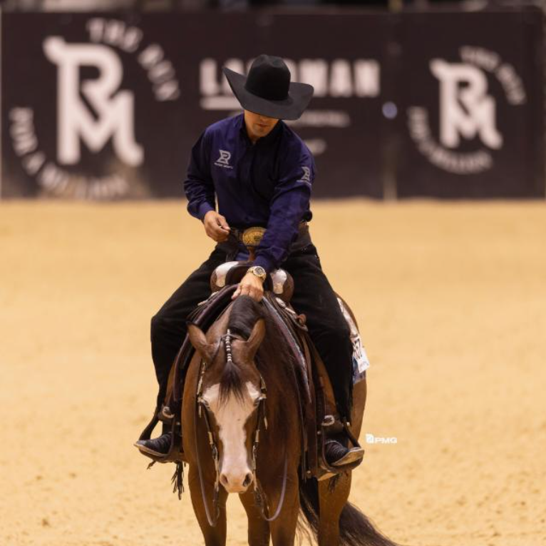 Equine muscle gain, Best supplement for horse metabolic, Best supplement for equine metabolic, Best supplement for performance horses, Best supplement for performance equines, Digestive supplement for horse, Digestive supplement for equines, Calming supplements for horses, Calming supplements for equines, Best calming paste, Horse vitamins and minerals supplement, Equine vitamins and minerals supplement, Supplement performance for horse, Supplement performance for equine