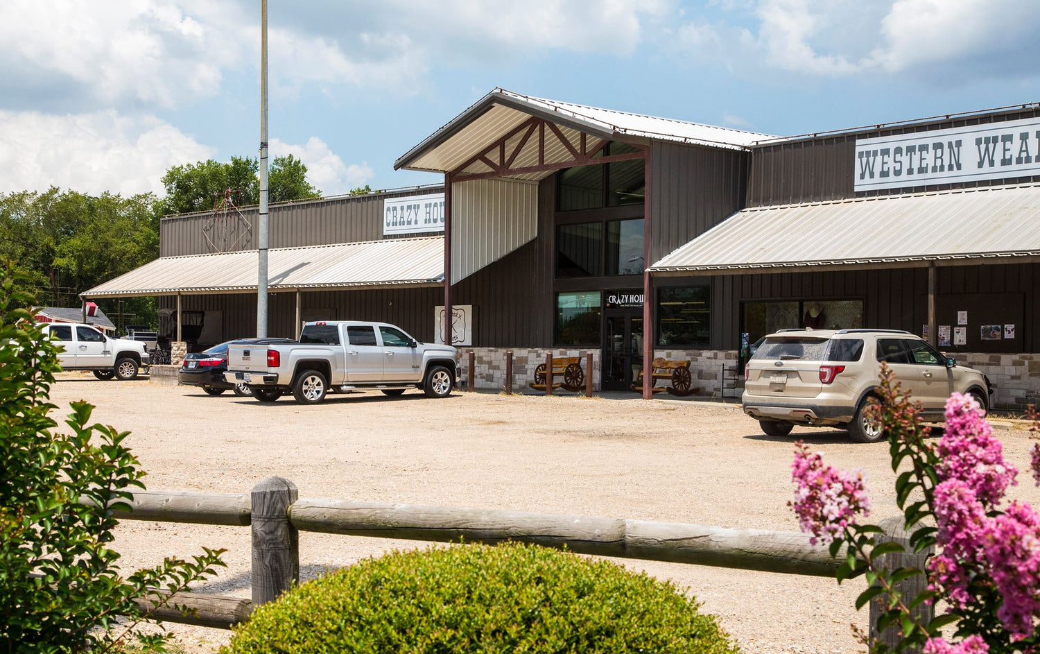 Pre race equines, BCAA equine, BCAA horses, Horse nutrition, Equine nutrition, Weight gain supplements for horses, Weight gain supplements for equines, Foals supplementation, Foal supplement, Supplements for foals, Healthy foal, Newborn foal supplement, Products for newborn foal, Newborn foal care, Foals essential care, Newborn foal, Foal products, Mares nutrition, Nutrition for mares