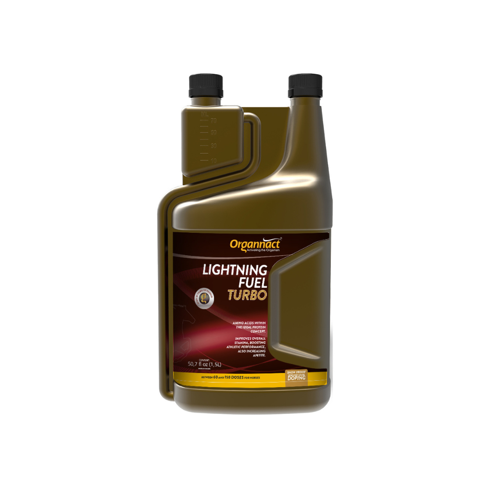 Equine muscle gain, Best supplement for horse metabolic, Best supplement for equine metabolic, Best supplement for performance horses, Best supplement for performance equines, Digestive supplement for horse, Digestive supplement for equines, Calming supplements for horses, Calming supplements for equines, Best calming paste, Horse vitamins and minerals supplement, Equine vitamins and minerals supplement, Supplement performance for horse, Supplement performance for equine