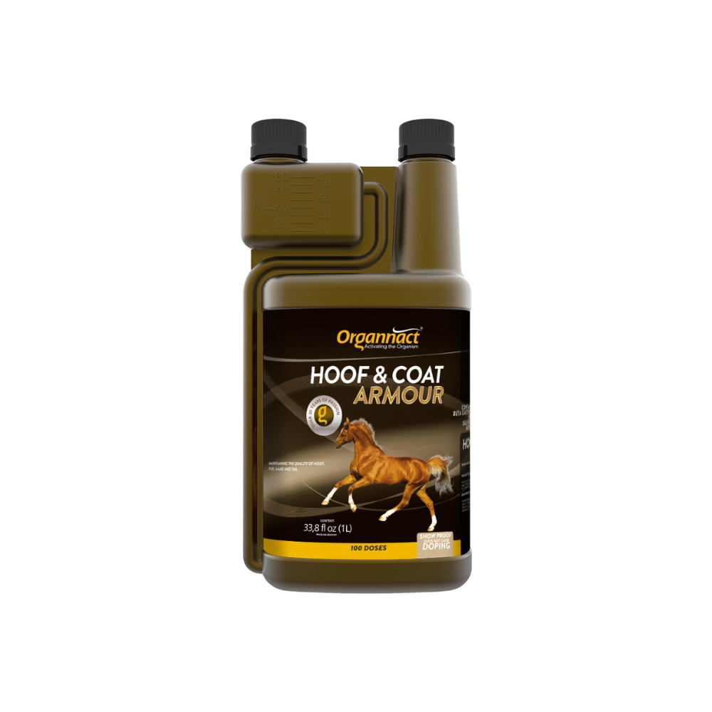 Equine muscle gain, Best supplement for horse metabolic, Best supplement for equine metabolic, Best supplement for performance horses, Best supplement for performance equines, Digestive supplement for horse, Digestive supplement for equines, Calming supplements for horses, Calming supplements for equines, Best calming paste, Horse vitamins and minerals supplement, Equine vitamins and minerals supplement, Supplement performance for horse, Supplement performance for equine