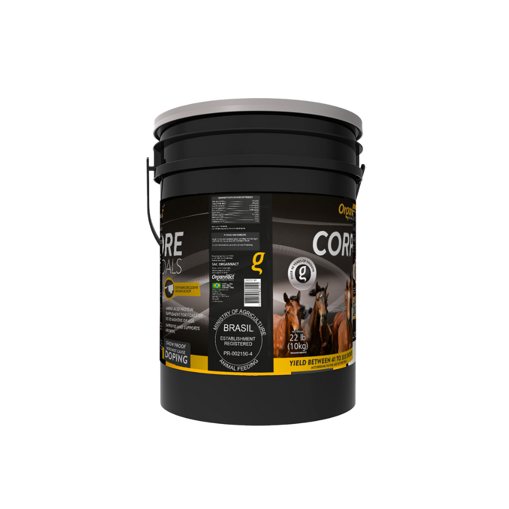 Pre race equines, BCAA equine, BCAA horses, Horse nutrition, Equine nutrition, Weight gain supplements for horses, Weight gain supplements for equines, Foals supplementation, Foal supplement, Supplements for foals, Healthy foal, Newborn foal supplement, Products for newborn foal, Newborn foal care, Foals essential care, Newborn foal, Foal products, Mares nutrition, Nutrition for mares