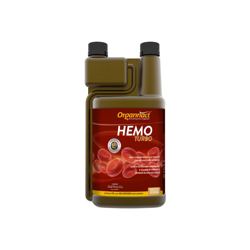 Equine muscle gain, Best supplement for horse metabolic, Best supplement for equine metabolic, Best supplement for performance horses, Best supplement for performance equines, Digestive supplement for horse, Digestive supplement for equines, Calming supplements for horses, Calming supplements for equines, Best calming paste, Horse vitamins and minerals supplement, Equine vitamins and minerals supplement, Supplement performance for horse, Supplement performance for equine