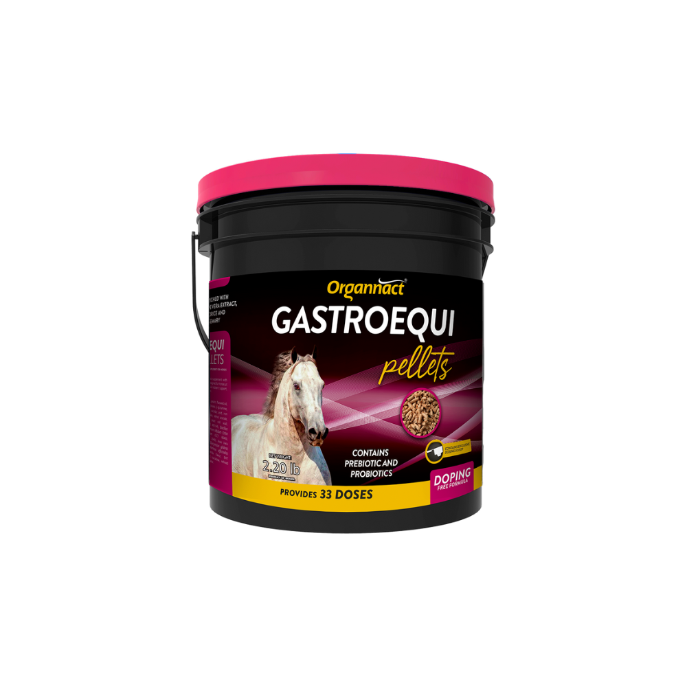 Vitamin E supplementation equine, Horse muscle, Equine muscle, Magnesium supplementation horse, Magnesium supplementation equine, Energy supplement for horse, Energy supplement for equine, Horse energy, Equine energy, Energy boost supplement for horses, Energy boost supplement for equines, Best supplement for horse, Best supplement for equine, Equine diet, Horse diet, Horse protein supplement, Equine protein supplement, Equine digestive, Horse digestive