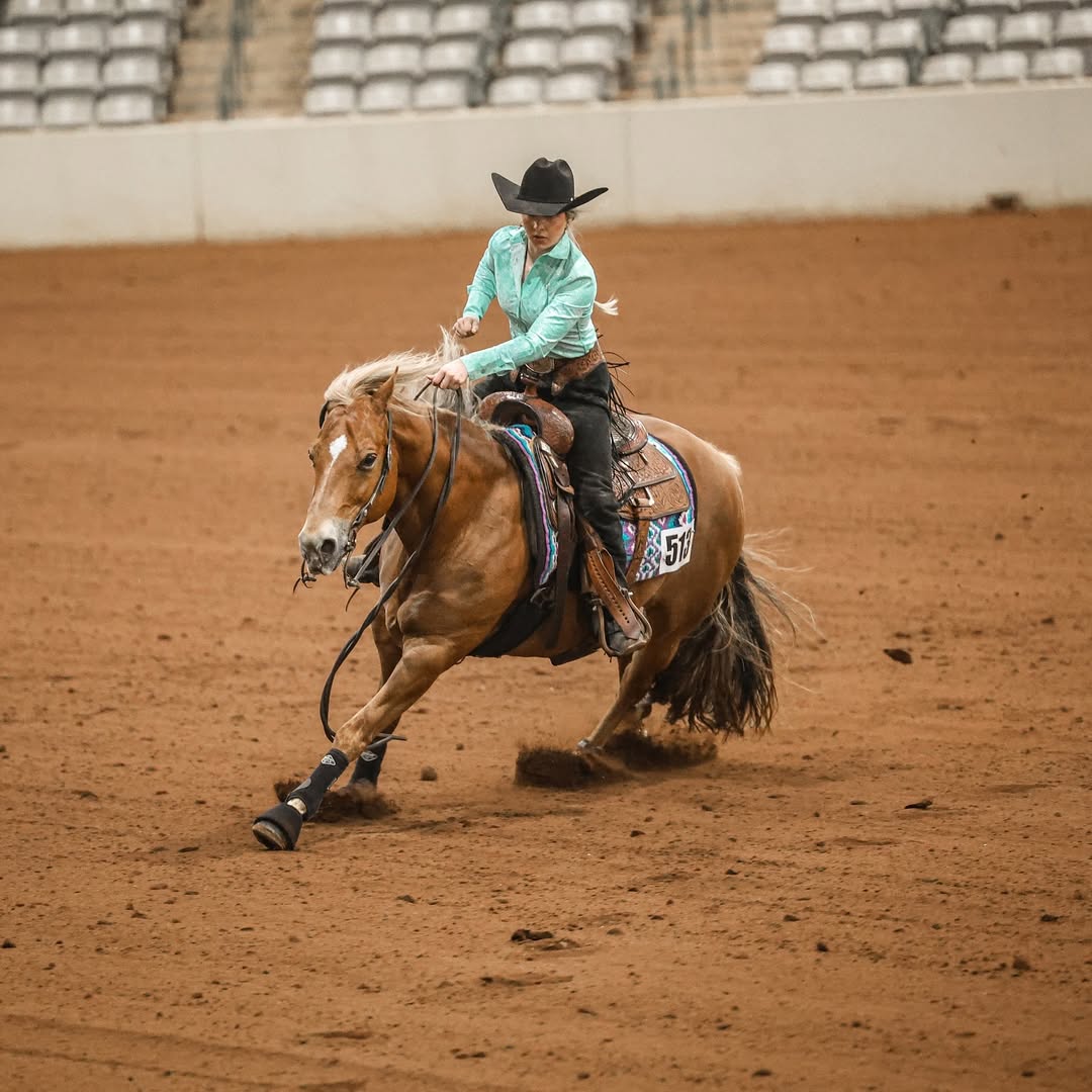 Vitamin E supplementation equine, Horse muscle, Equine muscle, Magnesium supplementation horse, Magnesium supplementation equine, Energy supplement for horse, Energy supplement for equine, Horse energy, Equine energy, Energy boost supplement for horses, Energy boost supplement for equines, Best supplement for horse, Best supplement for equine, Equine diet, Horse diet, Horse protein supplement, Equine protein supplement, Equine digestive, Horse digestive