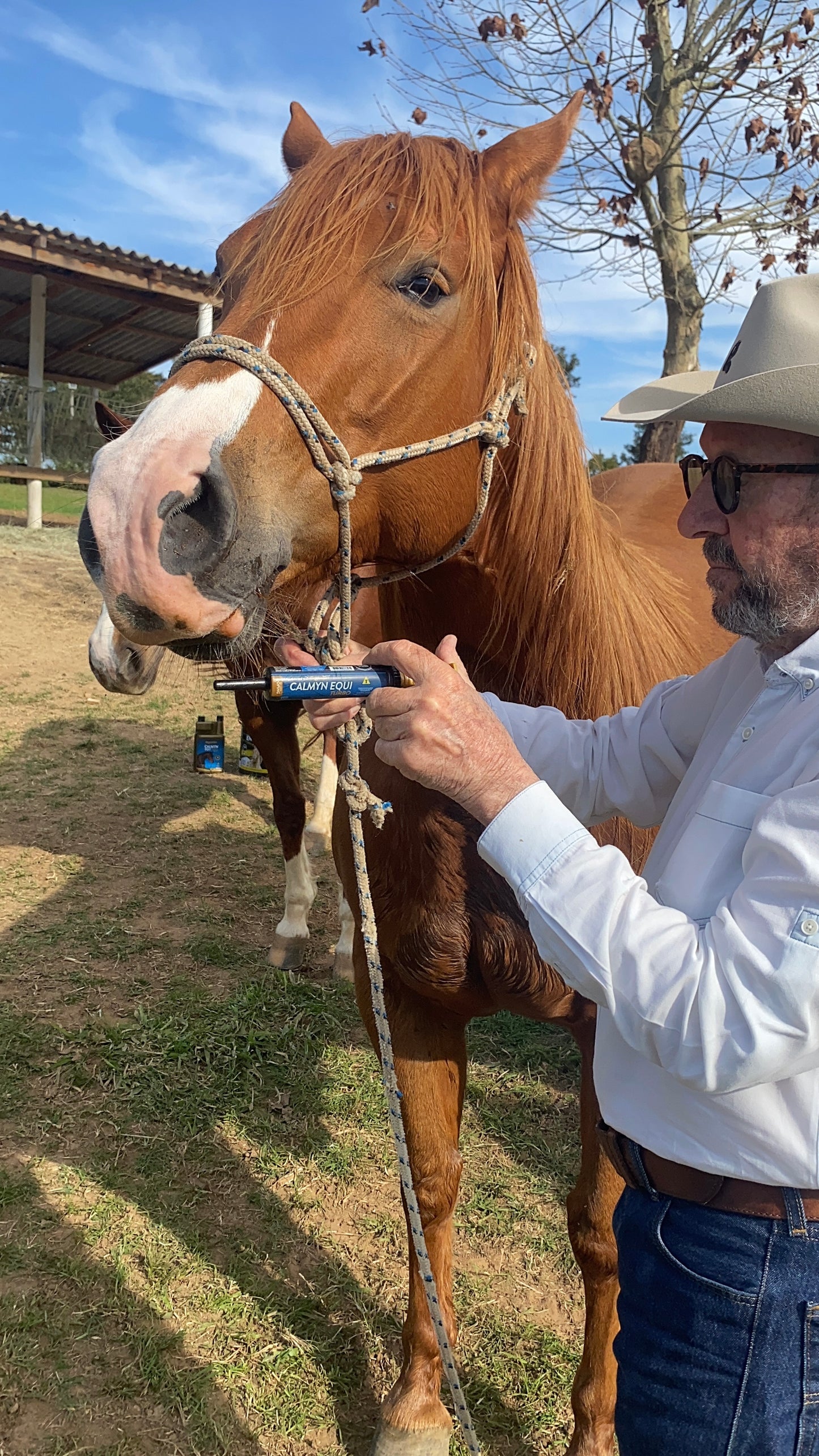 Organnact Calmyn Equi Paste Horse Supplement