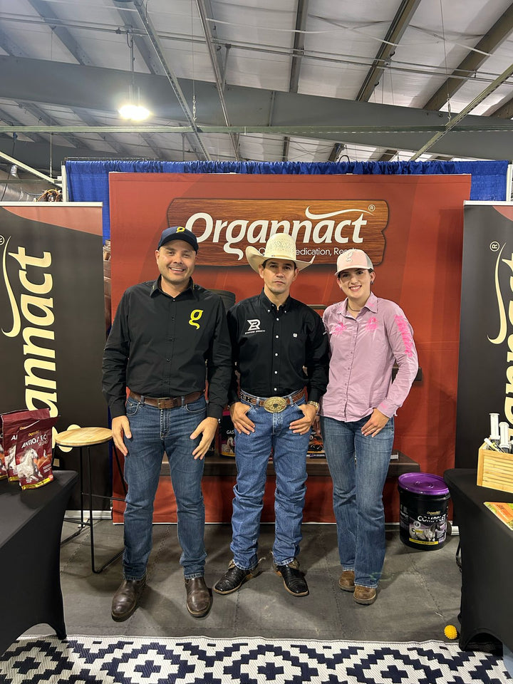 Equine metabolic, Horse metabolic, Pelleted horse, Pelleted equine, Horse digestion, Equine digestion, Horse intestine, Equine intestine, Horse gut health, Equine gut health, Horse nutrition care, Equine nutrition care, Hoof supplements horse, Hoof supplements equine, Healthy coat for horses, Healthy coat for equines, ATP horses, ATP equines, Pre race horses, Complete equine performance products