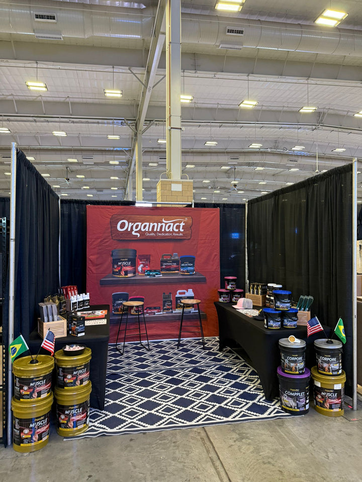 Equine metabolic, Horse metabolic, Pelleted horse, Pelleted equine, Horse digestion, Equine digestion, Horse intestine, Equine intestine, Horse gut health, Equine gut health, Horse nutrition care, Equine nutrition care, Hoof supplements horse, Hoof supplements equine, Healthy coat for horses, Healthy coat for equines, ATP horses, ATP equines, Pre race horses, Complete equine performance products