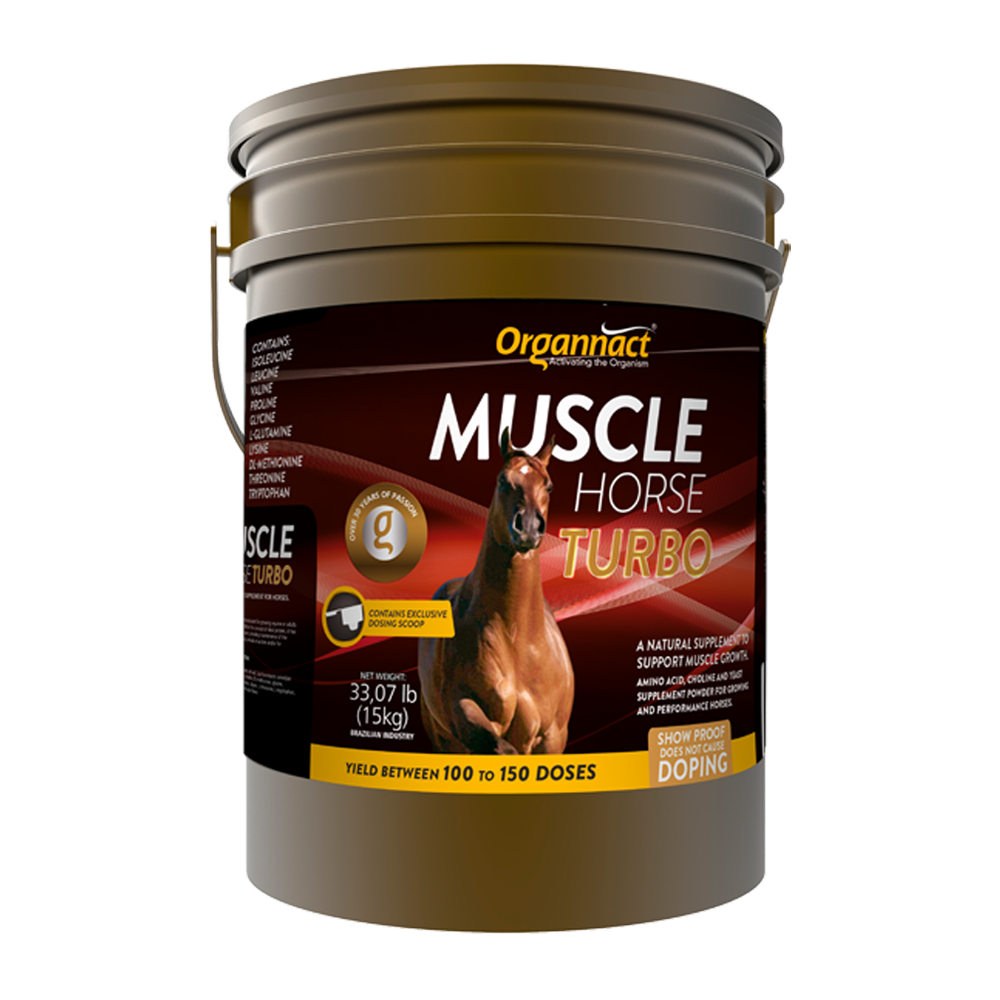 Equine muscle gain, Best supplement for horse metabolic, Best supplement for equine metabolic, Best supplement for performance horses, Best supplement for performance equines, Digestive supplement for horse, Digestive supplement for equines, Calming supplements for horses, Calming supplements for equines, Best calming paste, Horse vitamins and minerals supplement, Equine vitamins and minerals supplement, Supplement performance for horse, Supplement performance for equine