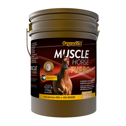 Equine muscle gain, Best supplement for horse metabolic, Best supplement for equine metabolic, Best supplement for performance horses, Best supplement for performance equines, Digestive supplement for horse, Digestive supplement for equines, Calming supplements for horses, Calming supplements for equines, Best calming paste, Horse vitamins and minerals supplement, Equine vitamins and minerals supplement, Supplement performance for horse, Supplement performance for equine