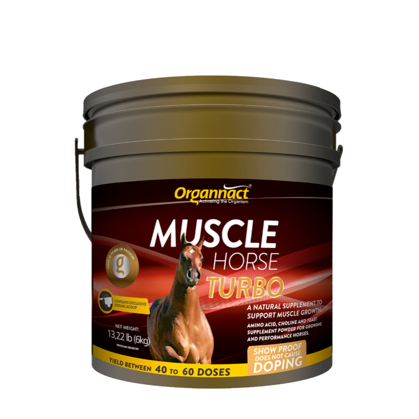 Equine muscle gain, Best supplement for horse metabolic, Best supplement for equine metabolic, Best supplement for performance horses, Best supplement for performance equines, Digestive supplement for horse, Digestive supplement for equines, Calming supplements for horses, Calming supplements for equines, Best calming paste, Horse vitamins and minerals supplement, Equine vitamins and minerals supplement, Supplement performance for horse, Supplement performance for equine