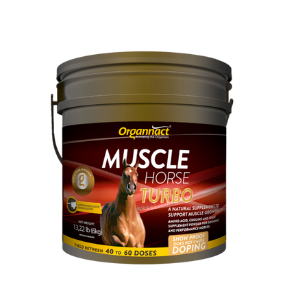 Equine muscle gain, Best supplement for horse metabolic, Best supplement for equine metabolic, Best supplement for performance horses, Best supplement for performance equines, Digestive supplement for horse, Digestive supplement for equines, Calming supplements for horses, Calming supplements for equines, Best calming paste, Horse vitamins and minerals supplement, Equine vitamins and minerals supplement, Supplement performance for horse, Supplement performance for equine