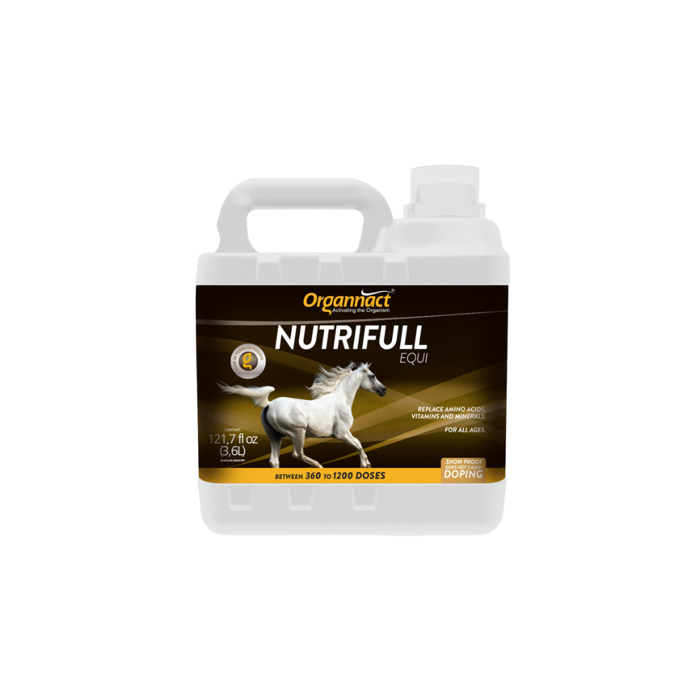 Vitamin E supplementation equine, Horse muscle, Equine muscle, Magnesium supplementation horse, Magnesium supplementation equine, Energy supplement for horse, Energy supplement for equine, Horse energy, Equine energy, Energy boost supplement for horses, Energy boost supplement for equines, Best supplement for horse, Best supplement for equine, Equine diet, Horse diet, Horse protein supplement, Equine protein supplement, Equine digestive, Horse digestive
