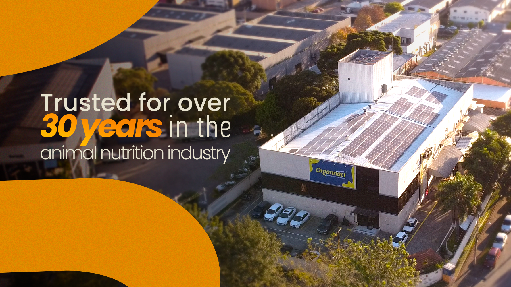 Vitamin E supplementation equine, Horse muscle, Equine muscle, Magnesium supplementation horse, Magnesium supplementation equine, Energy supplement for horse, Energy supplement for equine, Horse energy, Equine energy, Energy boost supplement for horses, Energy boost supplement for equines, Best supplement for horse, Best supplement for equine, Equine diet, Horse diet, Horse protein supplement, Equine protein supplement, Equine digestive, Horse digestive