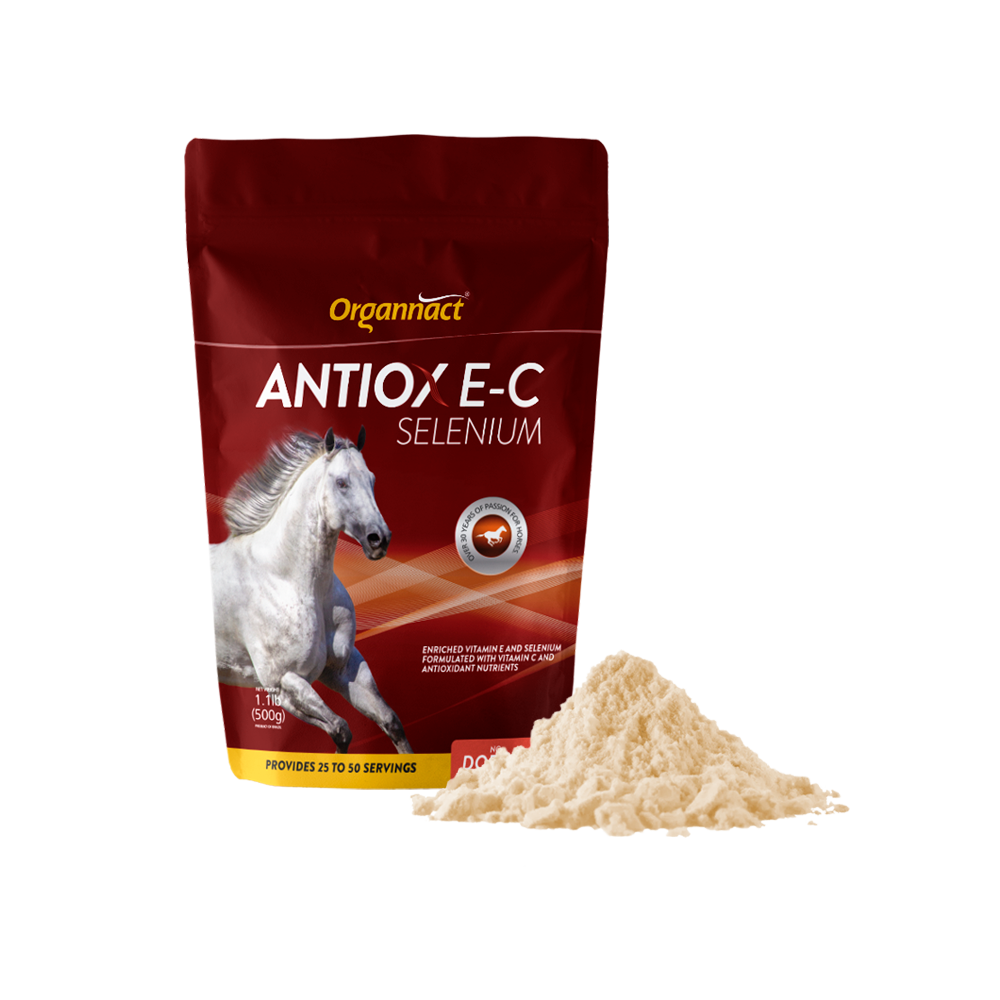 Equine metabolic, Horse metabolic, Pelleted horse, Pelleted equine, Horse digestion, Equine digestion, Horse intestine, Equine intestine, Horse gut health, Equine gut health, Horse nutrition care, Equine nutrition care, Hoof supplements horse, Hoof supplements equine, Healthy coat for horses, Healthy coat for equines, ATP horses, ATP equines, Pre race horses, Complete equine performance products