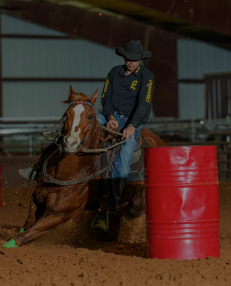 Vitamin E supplementation equine, Horse muscle, Equine muscle, Magnesium supplementation horse, Magnesium supplementation equine, Energy supplement for horse, Energy supplement for equine, Horse energy, Equine energy, Energy boost supplement for horses, Energy boost supplement for equines, Best supplement for horse, Best supplement for equine, Equine diet, Horse diet, Horse protein supplement, Equine protein supplement, Equine digestive, Horse digestive