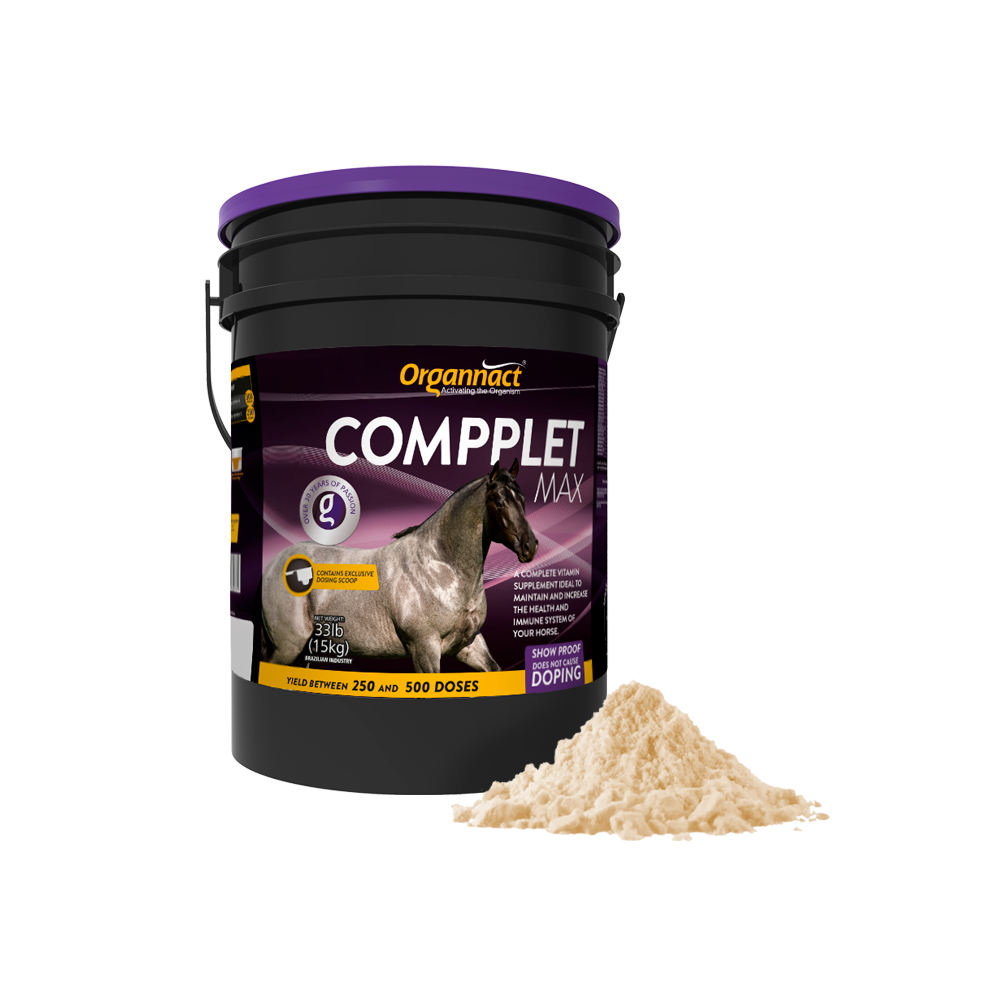 Equine metabolic, Horse metabolic, Pelleted horse, Pelleted equine, Horse digestion, Equine digestion, Horse intestine, Equine intestine, Horse gut health, Equine gut health, Horse nutrition care, Equine nutrition care, Hoof supplements horse, Hoof supplements equine, Healthy coat for horses, Healthy coat for equines, ATP horses, ATP equines, Pre race horses, Complete equine performance products