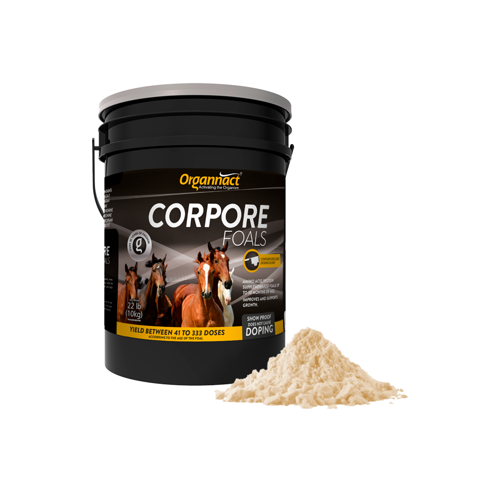 Equine metabolic, Horse metabolic, Pelleted horse, Pelleted equine, Horse digestion, Equine digestion, Horse intestine, Equine intestine, Horse gut health, Equine gut health, Horse nutrition care, Equine nutrition care, Hoof supplements horse, Hoof supplements equine, Healthy coat for horses, Healthy coat for equines, ATP horses, ATP equines, Pre race horses, Complete equine performance products