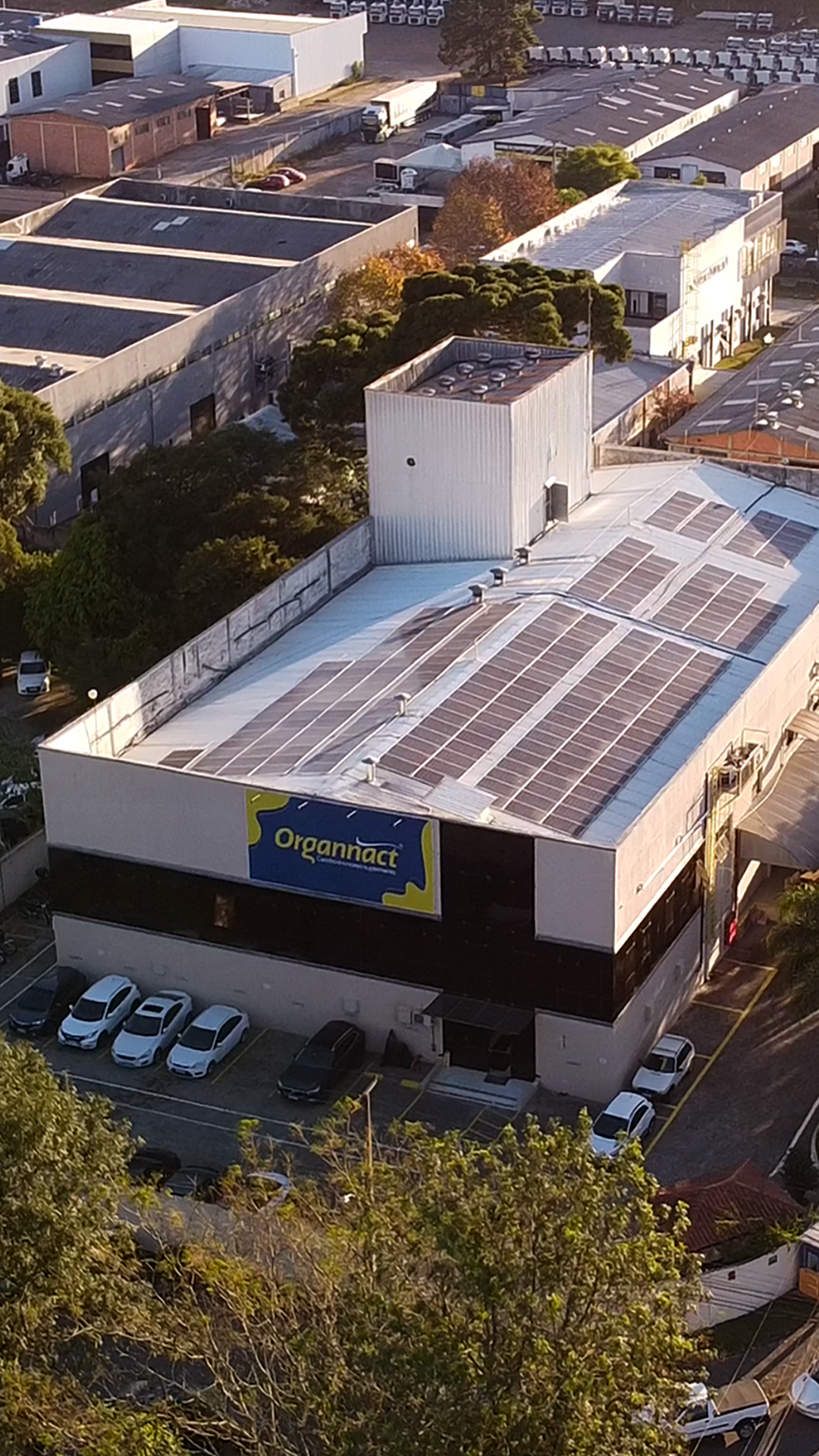 Equine metabolic, Horse metabolic, Pelleted horse, Pelleted equine, Horse digestion, Equine digestion, Horse intestine, Equine intestine, Horse gut health, Equine gut health, Horse nutrition care, Equine nutrition care, Hoof supplements horse, Hoof supplements equine, Healthy coat for horses, Healthy coat for equines, ATP horses, ATP equines, Pre race horses, Complete equine performance products