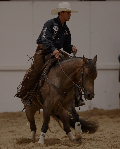 Vitamin E supplementation equine, Horse muscle, Equine muscle, Magnesium supplementation horse, Magnesium supplementation equine, Energy supplement for horse, Energy supplement for equine, Horse energy, Equine energy, Energy boost supplement for horses, Energy boost supplement for equines, Best supplement for horse, Best supplement for equine, Equine diet, Horse diet, Horse protein supplement, Equine protein supplement, Equine digestive, Horse digestive