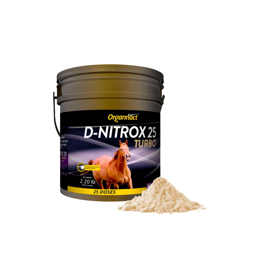 Equine metabolic, Horse metabolic, Pelleted horse, Pelleted equine, Horse digestion, Equine digestion, Horse intestine, Equine intestine, Horse gut health, Equine gut health, Horse nutrition care, Equine nutrition care, Hoof supplements horse, Hoof supplements equine, Healthy coat for horses, Healthy coat for equines, ATP horses, ATP equines, Pre race horses, Complete equine performance products